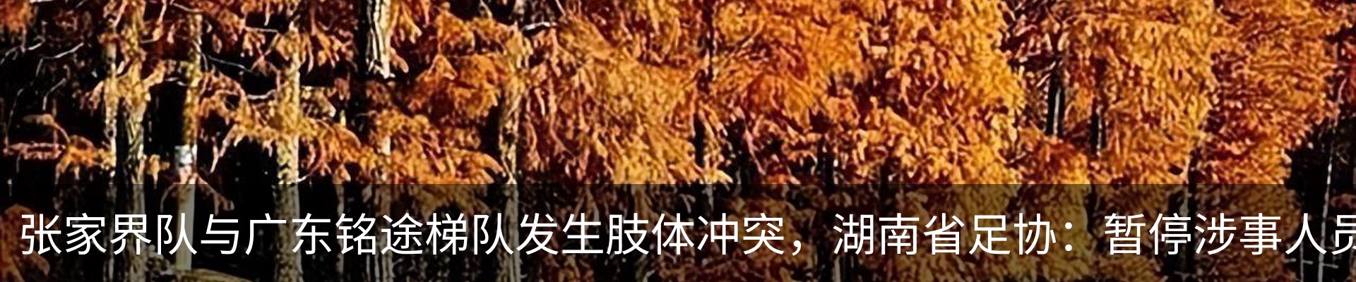 最新动态
